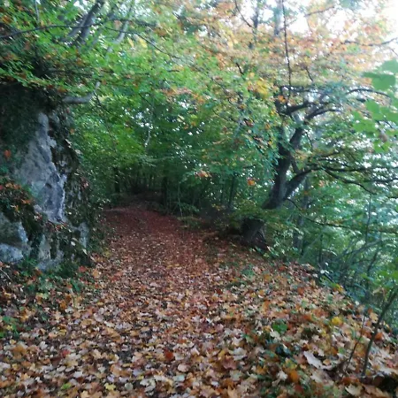 Nel Montefeltro *