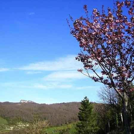 Nel Montefeltro